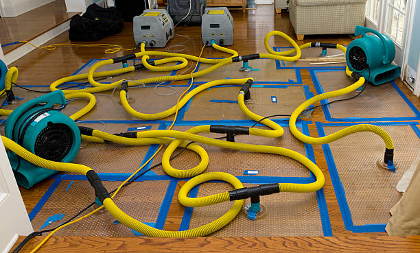 Professional Sewage Cleanup technician working in West Warwick, RI